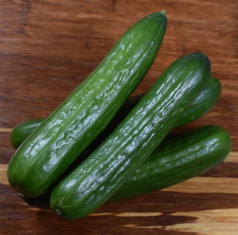 porn with a cucumber|'cucumber' Search .